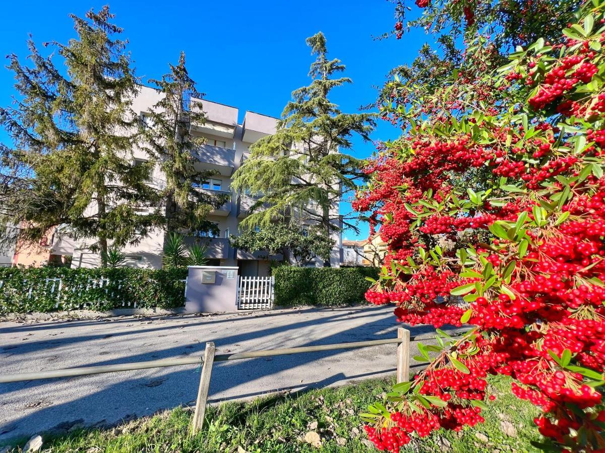 Lovely Apartment A Due Passi Dal Mare 里米尼 外观 照片